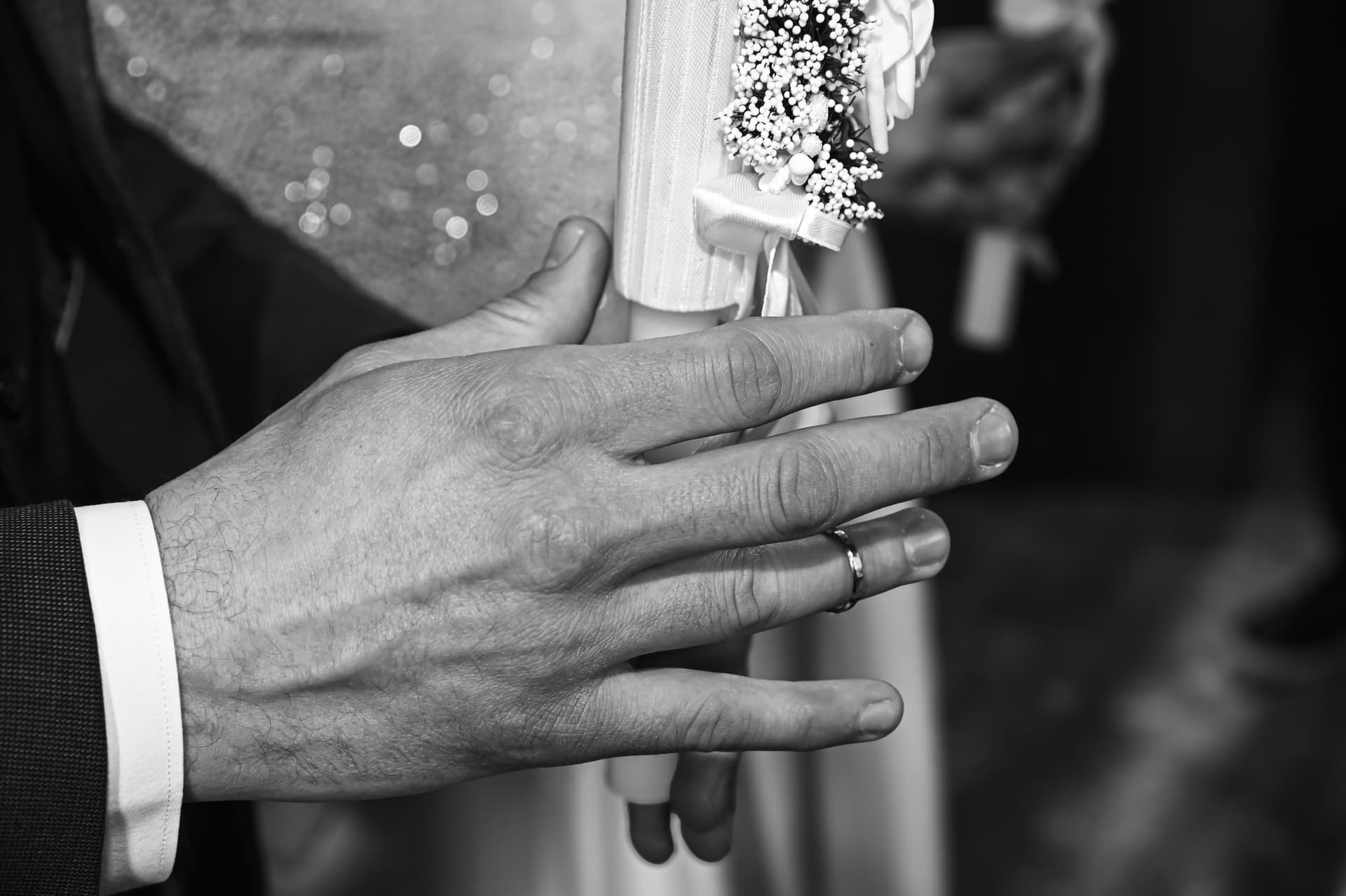 Danilovic photography - slika 6