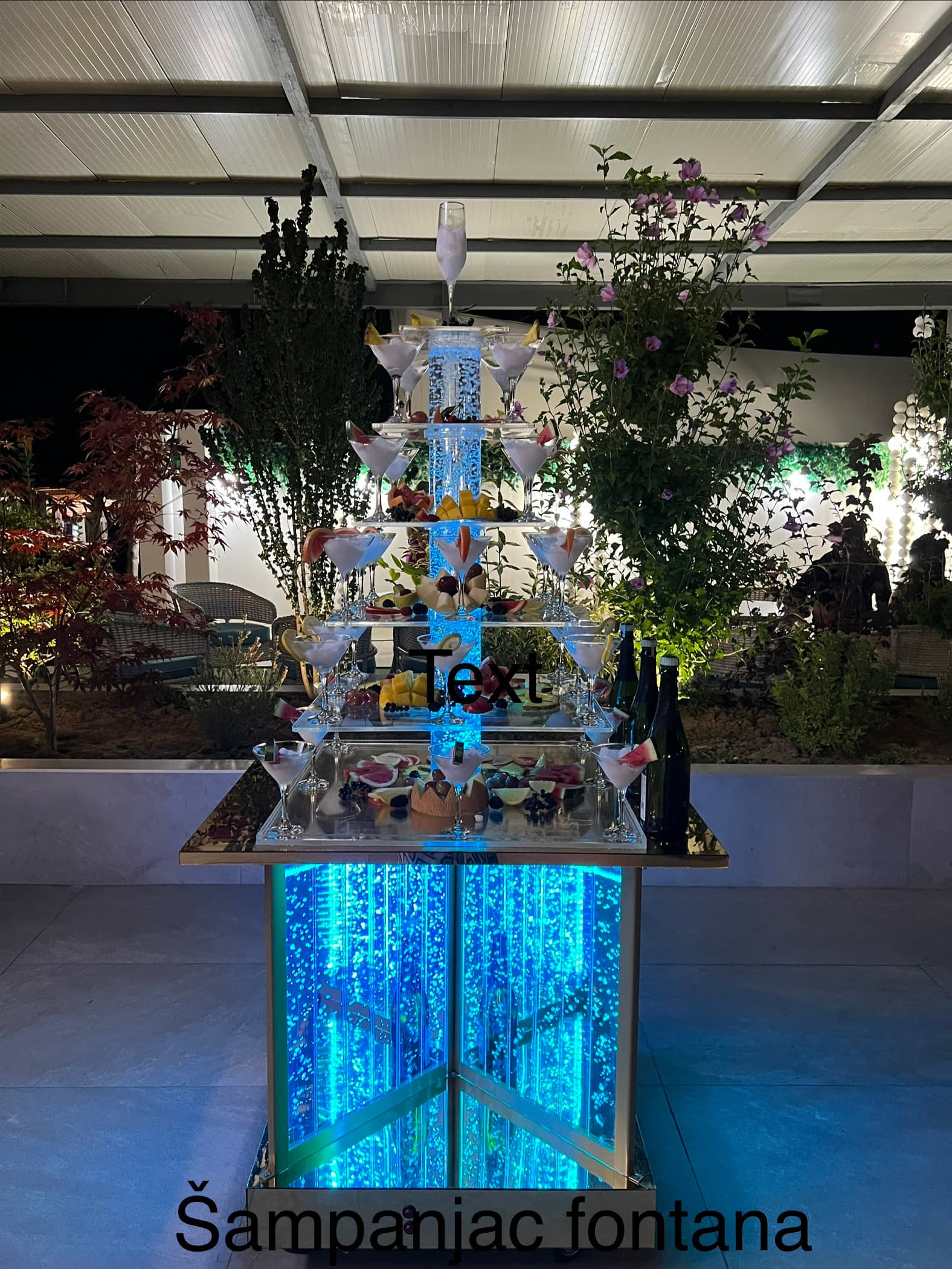 Magic show carolija - slika 4